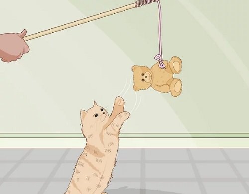 Cách làm đồ chơi cho mèo đơn giản tại nhà