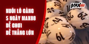 Nuôi Lô Càng 5 Ngày Max88 - Dễ Chơi, Dễ Thắng Lớn