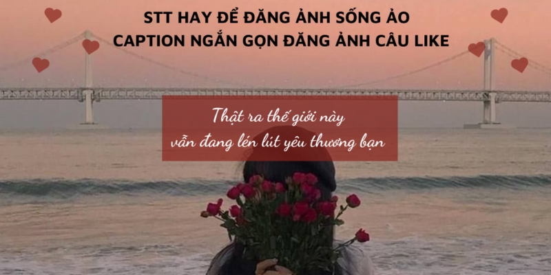 Những STT Hài Hước Khi Đăng Ảnh Vui Nhộn