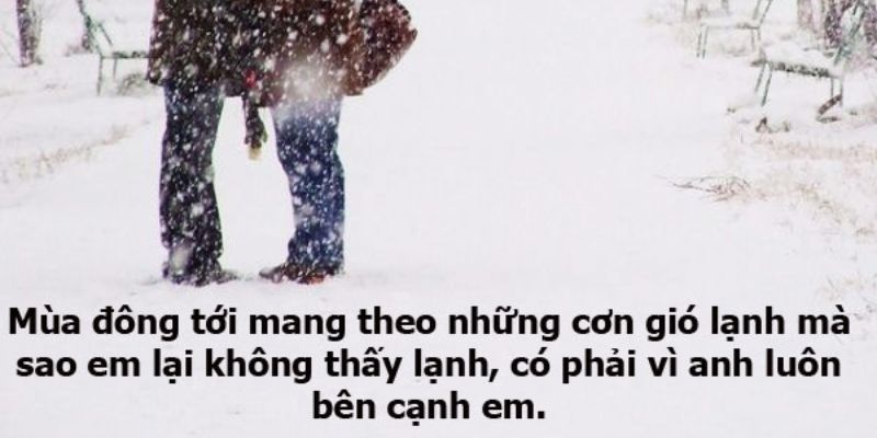 STT hay về mùa hợp tâm trạng, những câu nói về mùa thay đổi cảm xúc