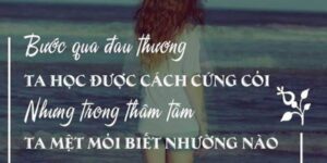 STT Mệt Mỏi, Muốn Buông Xuôi Tất Cả Thấm Thía Nhất