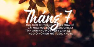 STT Tháng 7, Những Câu Nói Hay Chào Tháng 7 Đầy Ấm Áp