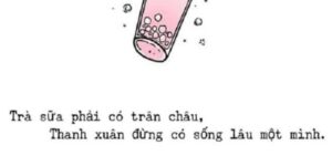 STT Trà Sữa, Những Câu Nói Hay Về Trà Sữa, Tha Thính