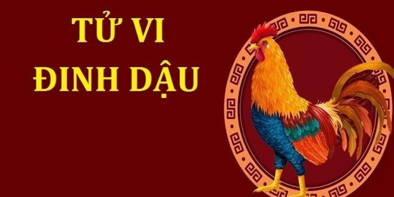 Xem Tử Vi Năm 2017 Cho Tuổi Đinh Dậu (Sinh Năm 1957): Vận Hạn Năm Mạng